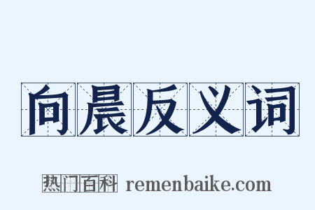 向晨反义词是什么意思的图片